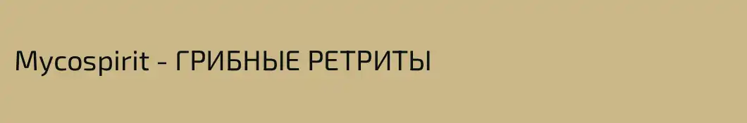 Mycospirit - ГРИБНЫЕ РЕТРИТЫ